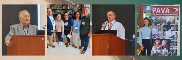 Photos of UCV staff and SVI alumni at the PAVA conference